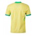 Camisa de Futebol Brasil Equipamento Principal Copa America 2024 Manga Curta